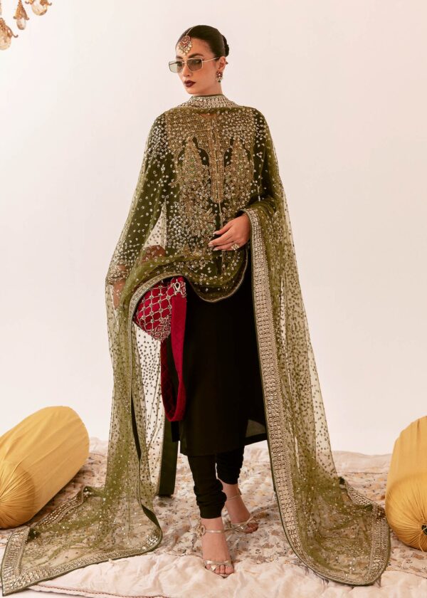 DARYA - Image 2