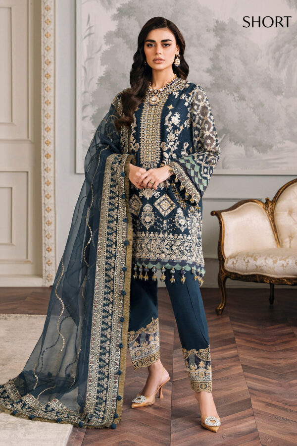 EMBROIDERED CHIFFON CH12-01 - Image 3