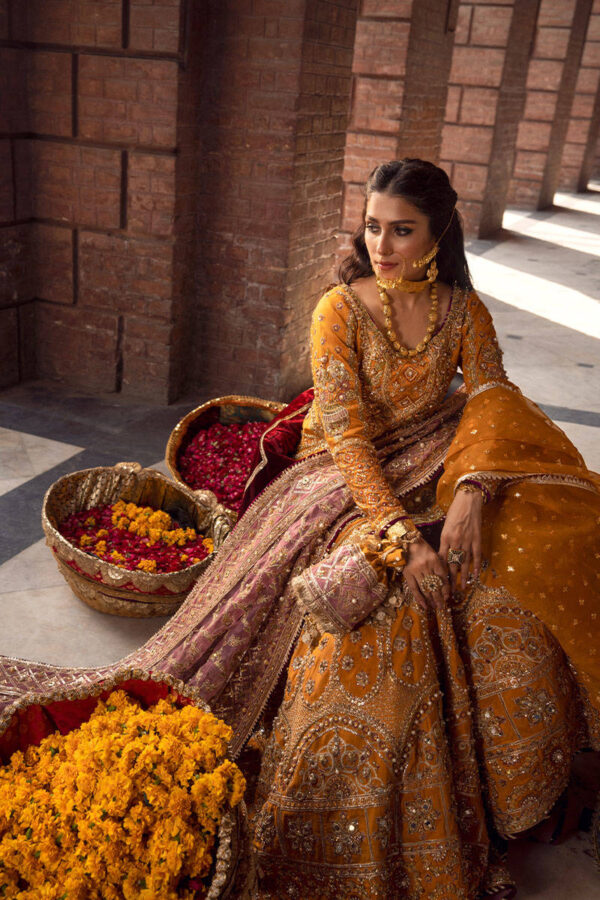 GUL E MARYAM - Image 2