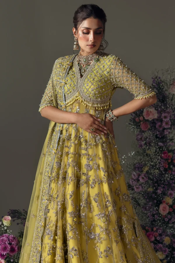 LIME BLOSSOM - Image 5