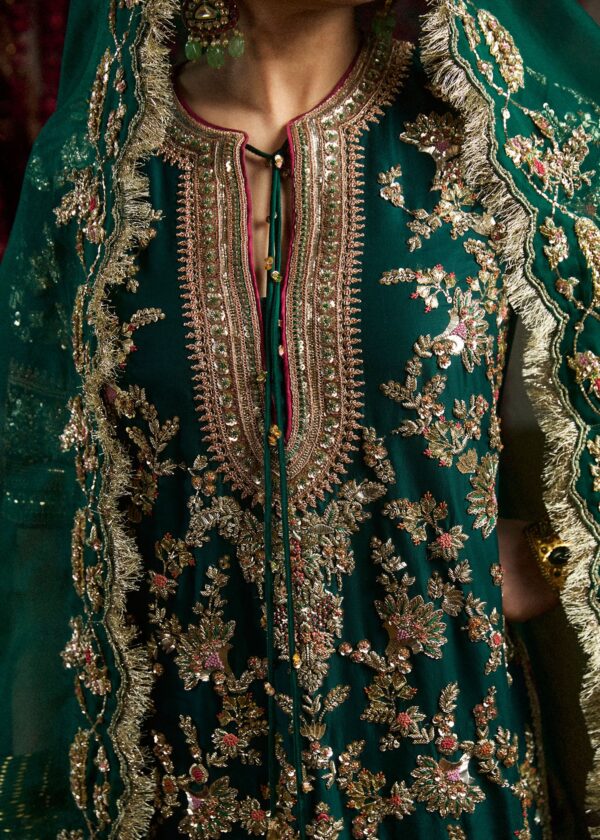 MAYLE - Image 4