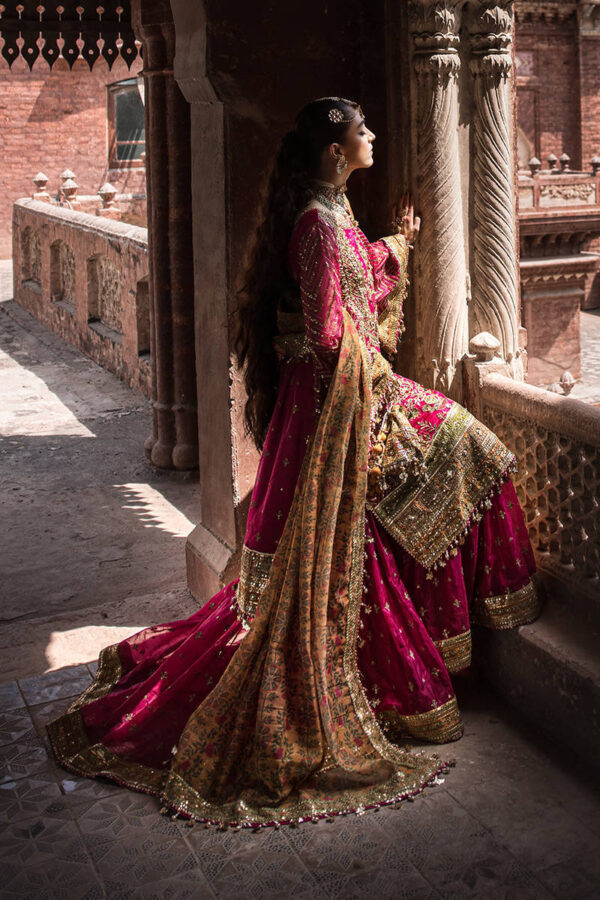 NARANJI BAGH - Image 3