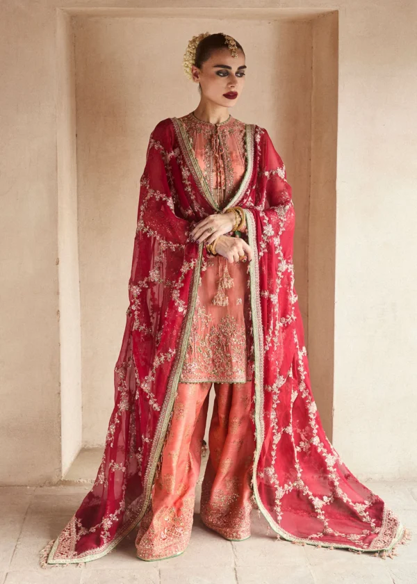 ROMAWI - Image 3