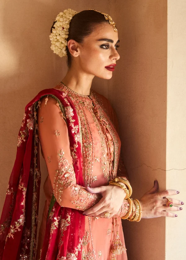 ROMAWI - Image 2