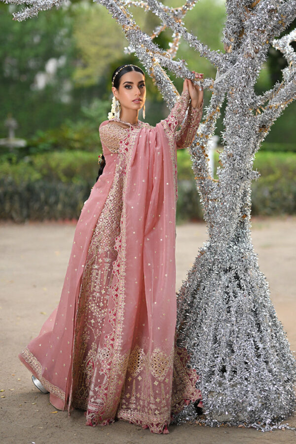 SALEHA - Image 2