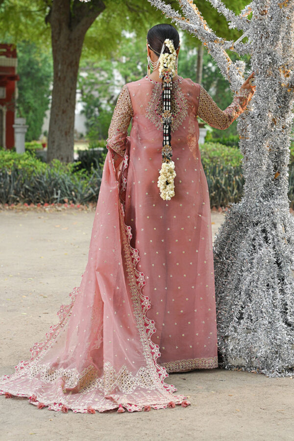 SALEHA - Image 6