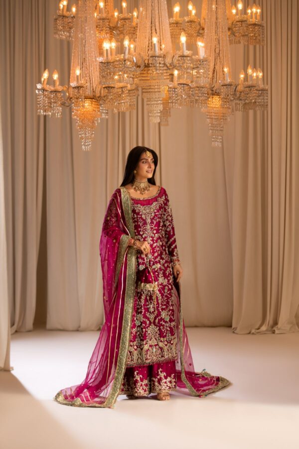 TABEER - Image 4