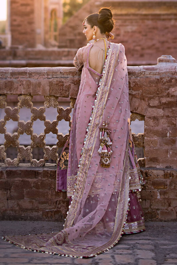 AARZOO - Image 2