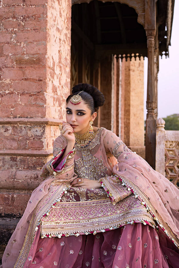 AARZOO - Image 3