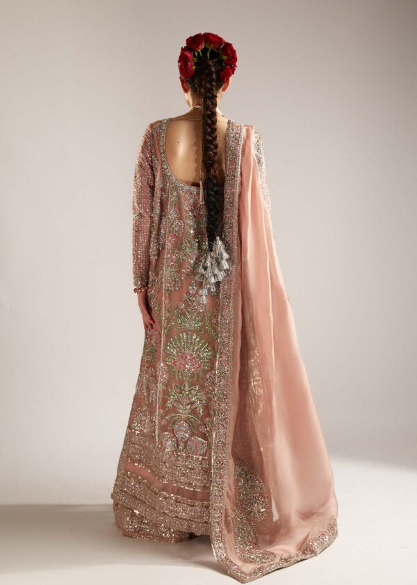 VERVE - Image 4