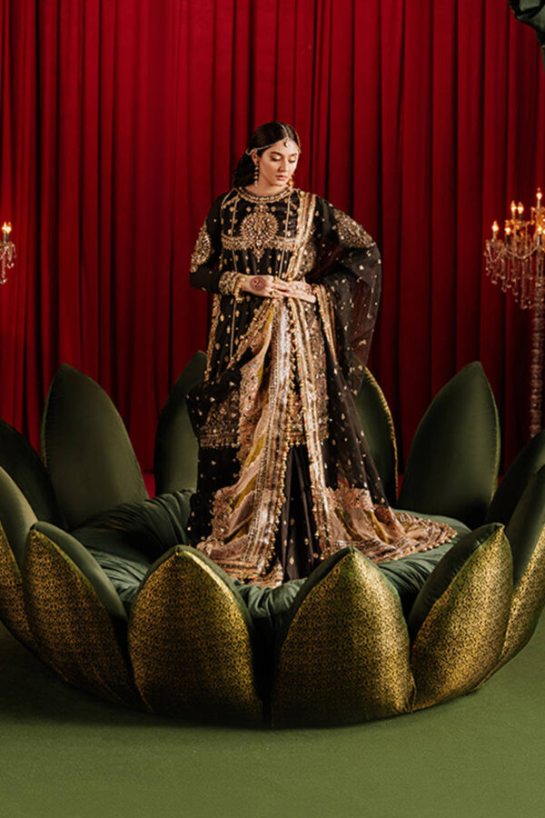 AFREEN - Image 2