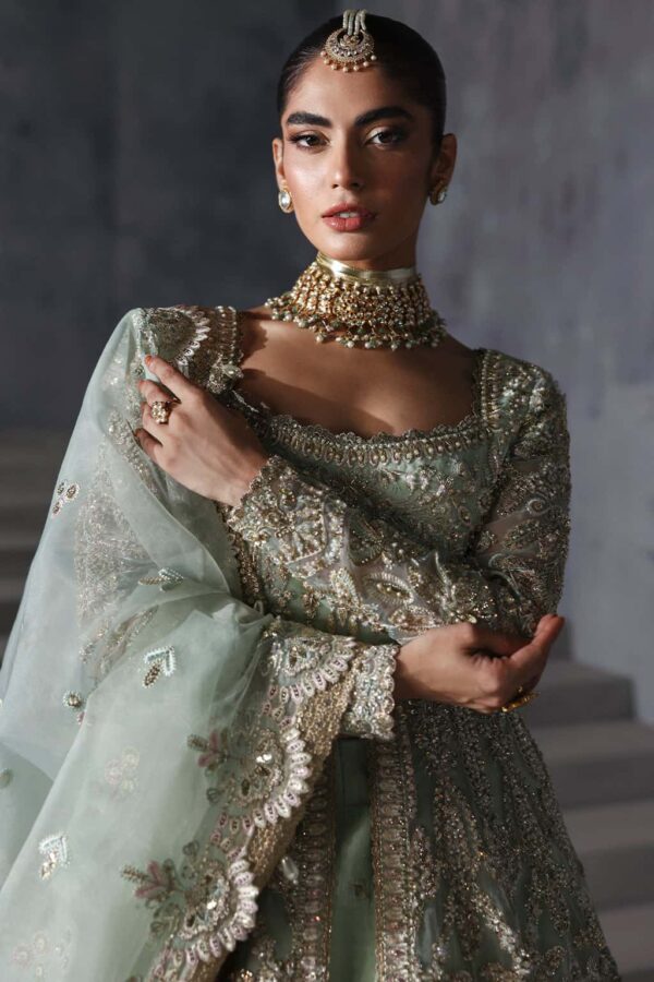 LIVIA - Image 2