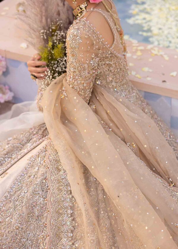 MIRANI - Image 3