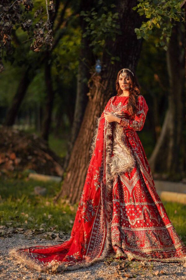 SHEEMA KIRMANI - Image 2