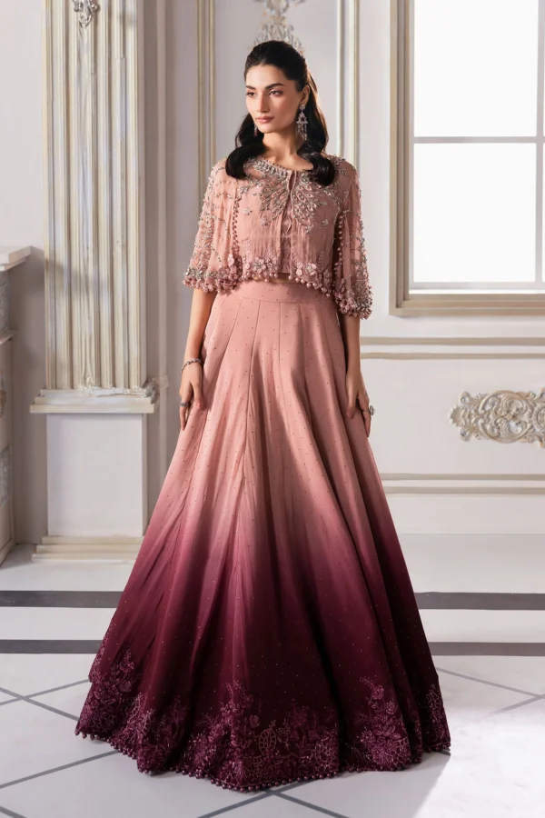 EMBROIDERED CHIFFON SAREE BD-3001 - Image 3