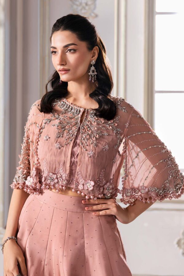EMBROIDERED CHIFFON SAREE BD-3001 - Image 6